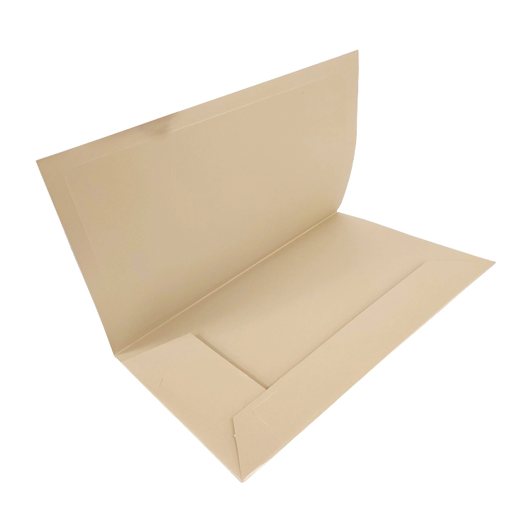 Carpeta 2 solapas Iglu A4 Metalica Sandy Platinum Art.03207 PAUTASSI